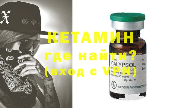 спиды Ельня