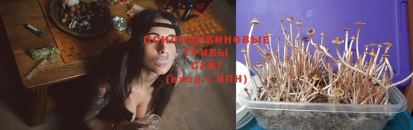 jwh Дмитровск