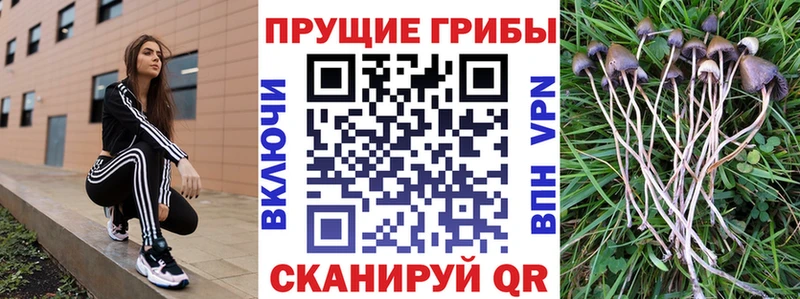 Купить  Карачев  Галлюциногенные грибы мухоморы 